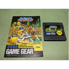 Arch Rivals Sega Game Gear Disk and Manual