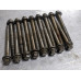 202U218 Cylinder Head Bolt Kit For 14-17 Ram 1500  3.6  Gas