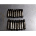 220D309 Lifters Set All From 2021 GMC Yukon XL 6.2 12740071 Gas 220D309 Lifters Set All From 2021 GMC Yukon XL 6.2 12740071 Gas