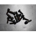 22N202 Timing Cover Bolts For 11-20 Dodge Journey 2.4 Gas 22N202 Timing Cover Bolts For 11-20 Dodge Journey 2.4 Gas