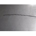234W236 Engine Oil Dipstick From 2002 Ford Expedition  5.4  Gas