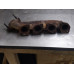 227X301 Right Exhaust Manifold For 11-14 Ford F-150   5.0 BL3E9430FA Gas Passenger Side