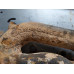 237Q210a Right Exhaust Manifold For 15-17 Ford F-150  5.0 FL3E9430BA Gas