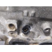 #XR02 Left Cylinder Head For 12-17 GMC Acadia 3.6 12590609 Gas #XR02 Left Cylinder Head For 12-17 GMC Acadia 3.6 12590609 Gas