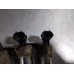 237Z319 Variable Valve Timing Solenoid Set For 17-20 GMC Acadia 3.6 Gas 237Z319 Variable Valve Timing Solenoid Set For 17-20 GMC Acadia 3.6 Gas