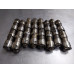 241M320 Lifters Set All For 99-00 Ford F-250 Super Duty  7.3 3C3Z6500AA Diesel